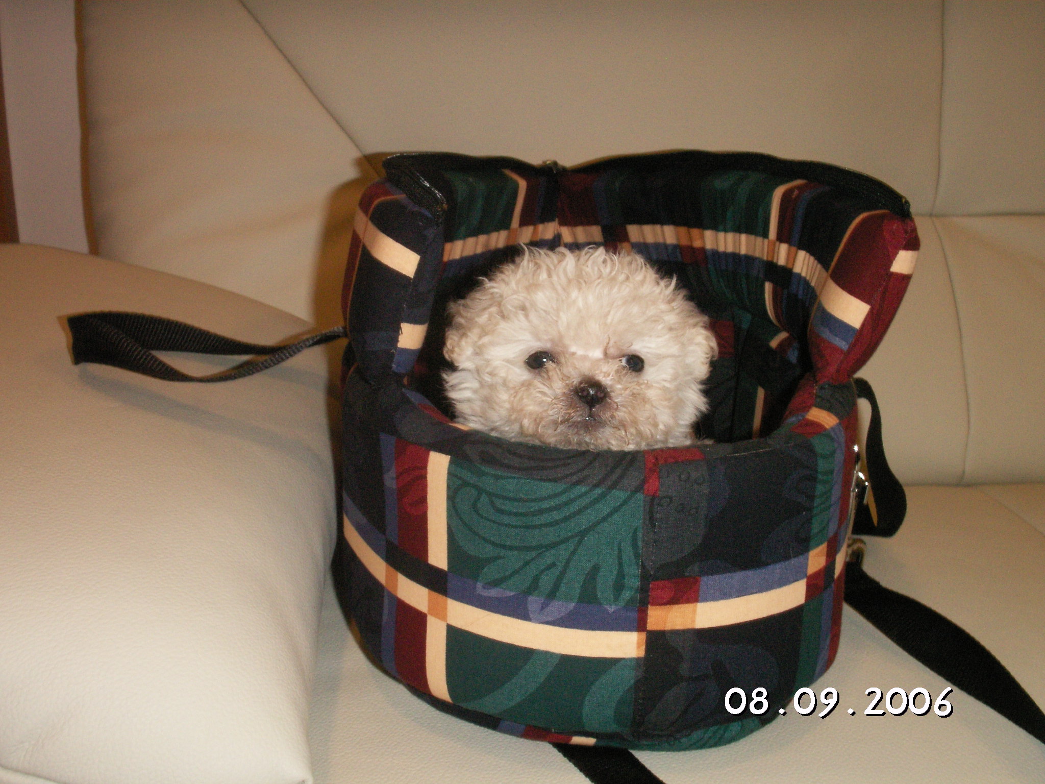 PICT0020.JPG
