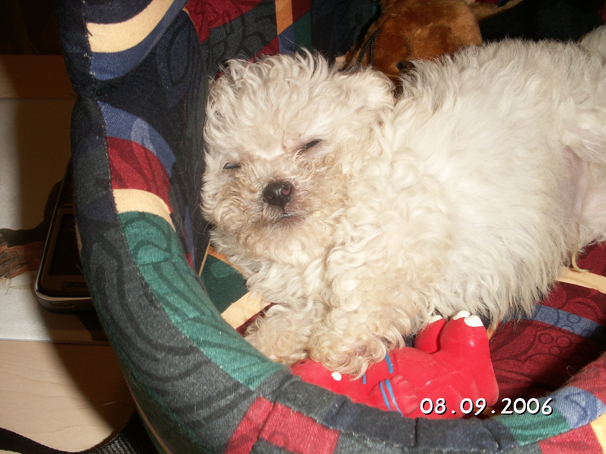 PICT0026.JPG