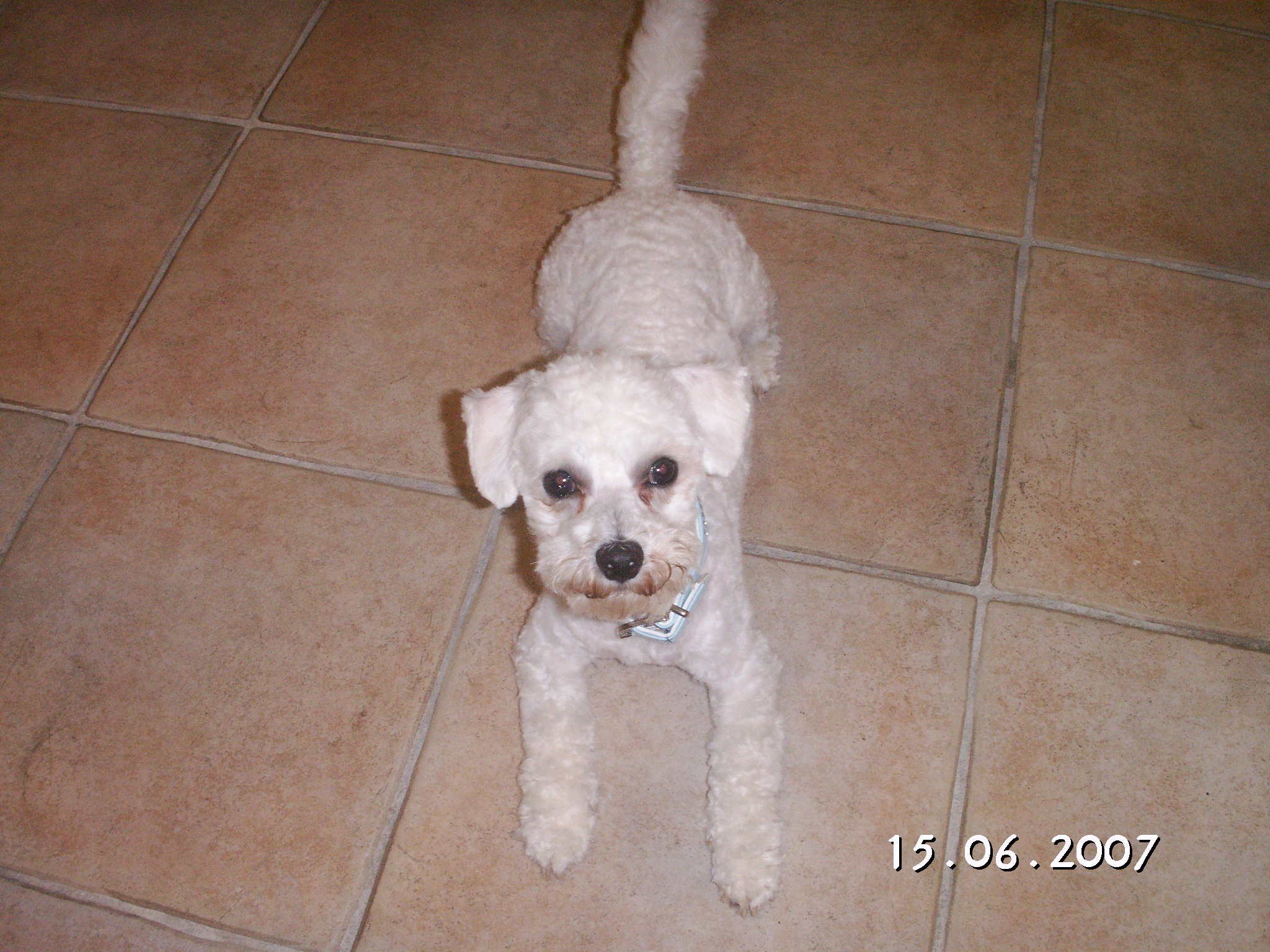 PICT0083.JPG