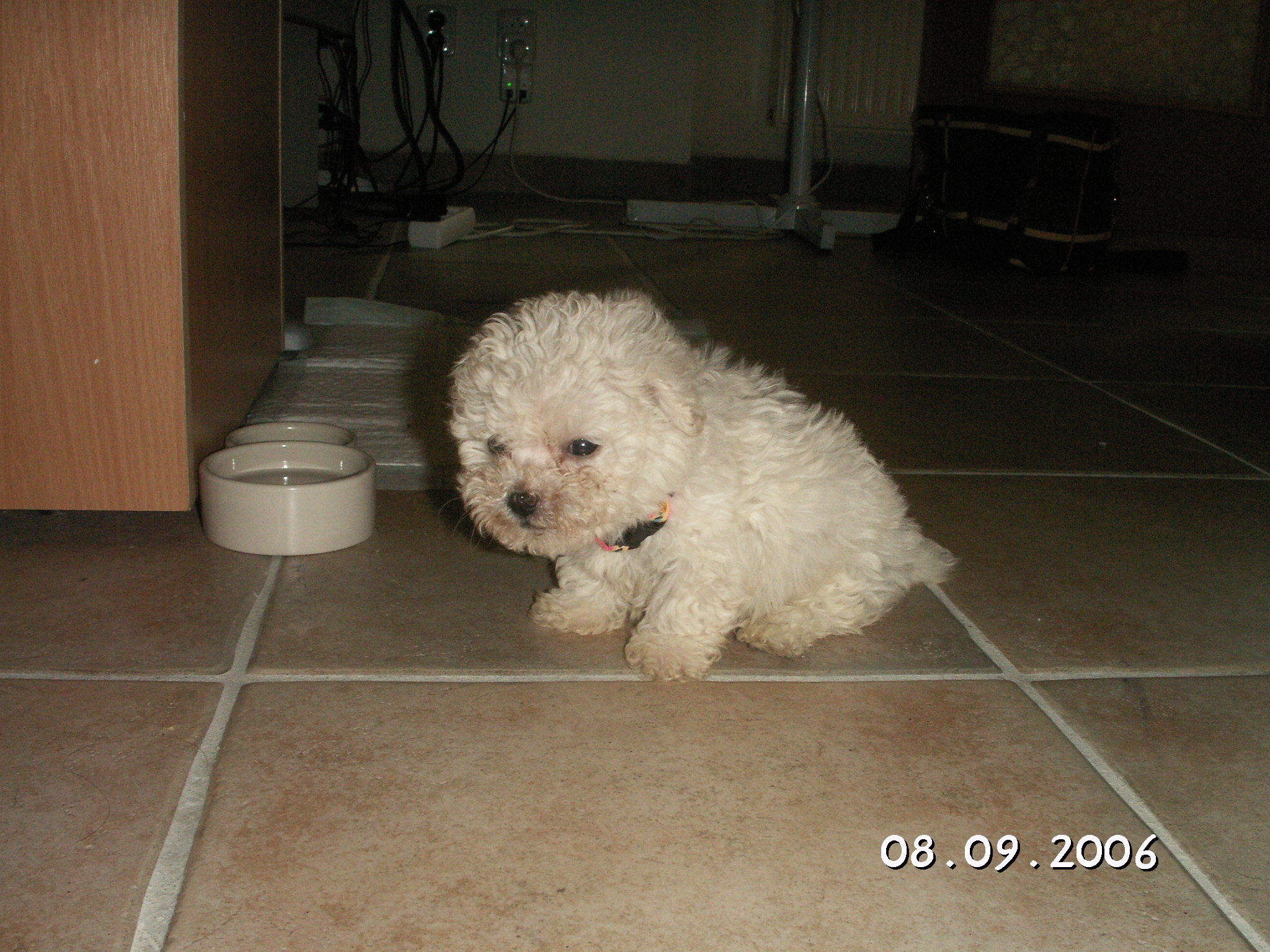 PICT0030.JPG